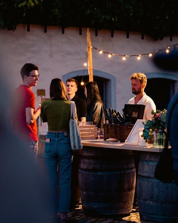 Poletje pri Najstarejši trti: Vinski večer z vini Jaunik